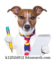 secretary dog secretary dog