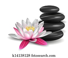seerose, und, zen, steine seerose, und, zen, steine