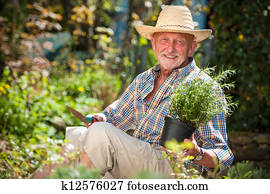 senior man in the garden