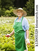 Senior woman gardening