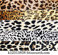 Set of Leopard textures Set of Leopard textures