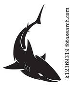 shark shark