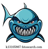 Shark Shark