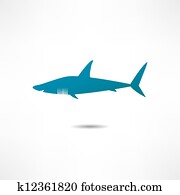 Shark Shark