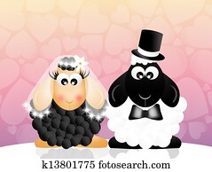 Sheeps in love Sheeps in love
