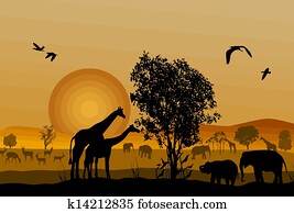 silhouette, von, safari, tier, natur silhouette, von, safari, tier, natur