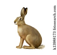 Sitting hare, cute easter bunny Sitting hare, cute easter bunny