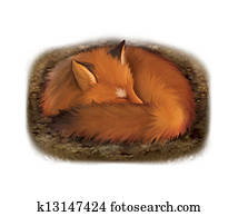 Sleeping red fox in its hole Sleeping red fox in its hole