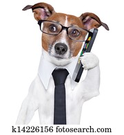 smartphone dog smartphone dog