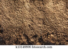 Soil background