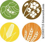 soybeans, algodão, milho, e, trigo