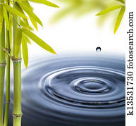 Spa still life with water circles