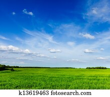 Spring summer green field scenery lanscape 