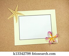 starfish and shells with frame on the beach, vacation memories