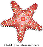 Starfish Starfish