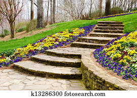 Steps leading to garden Steps leading to garden