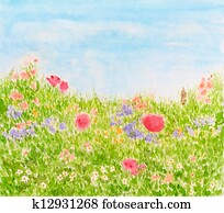 Summer Flowers on Daylight Meadow