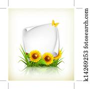 Sunflowers and paper, vector