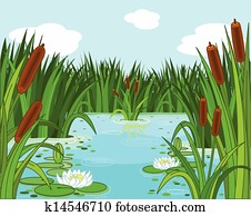 teich, szene teich, szene