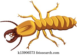 termite termite