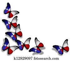 Texas flag butterflies, isolated on white background Texas flag butterflies, isolated on white background