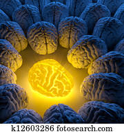 The concept of a unique intelligence