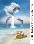The Heart Of The Dolphins The Heart Of The Dolphins
