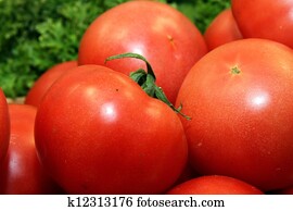 tomato tomato