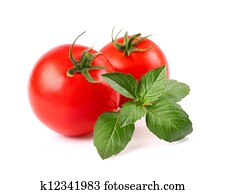 Tomato with basil Tomato with basil