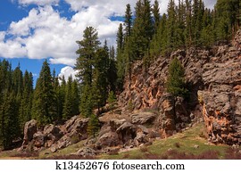 Treasures of New Mexico