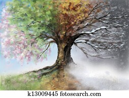 Tree Tree
