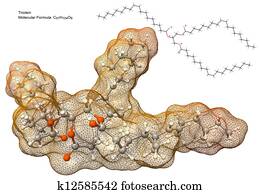 triglyceride, מולקולה