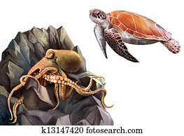 Turtle and Octopus in the rocks. Turtle and Octopus in the rocks.
