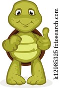 Turtle Turtle