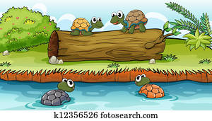 Turtles on water and log Turtles on water and log