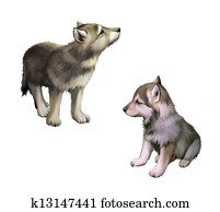 Two baby wolfs, puppies Two baby wolfs, puppies