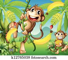 Two monkeys near the banana plant Two monkeys near the banana plant