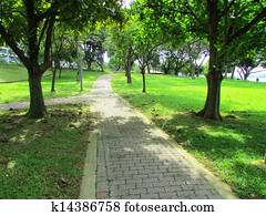 Two path ways joining