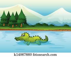 um, jacaré, 	in, a, rio, 
