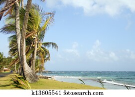 undeveloped Sally Peach beach palm trees on Caribbean Sea with native building Big Corn Island Nicaragua Central America
