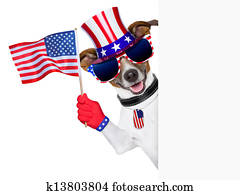 usa american dog 
