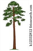 Vector Pine-tree