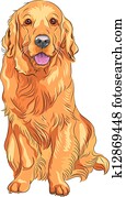 vector sketch red gun dog breed Golden Retriever vector sketch red gun dog breed Golden Retriever