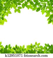 verde sai, borda, branco, fundo