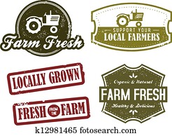 vindima, agricultura, e, mercado fresco