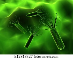 virus virus