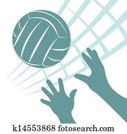 volleyball volleyball