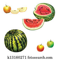 watermelon., פרוס, של, watermelon., חצי, של, a, watermelon., תפוח עץ, ירוק, ו, red., תפוח עץ, slices.