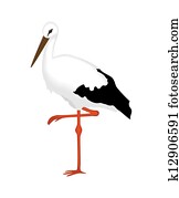 White Stork of a white background