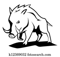 wild boar wild boar